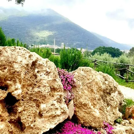 Bed & Breakfast Giulia Capaccio